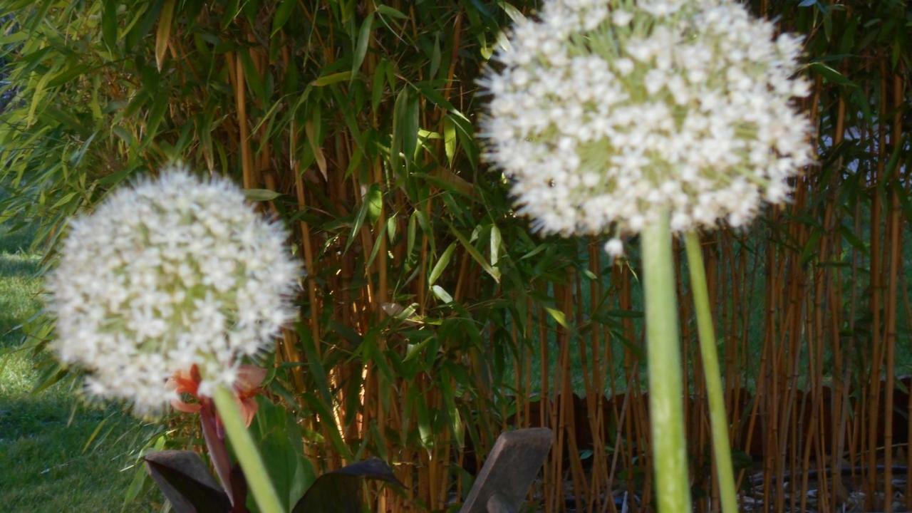 مبيت وإفطار Donzère Louminai المظهر الخارجي الصورة